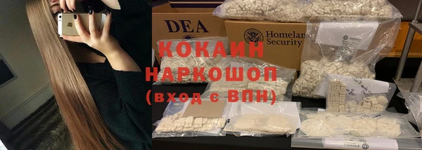 винт Абаза