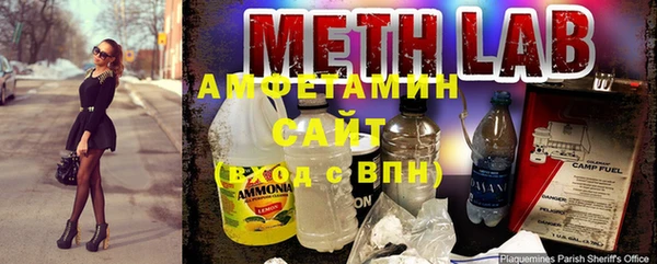 винт Абаза