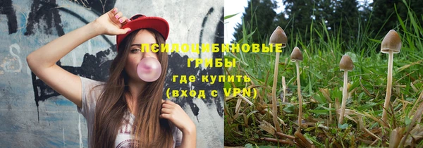 винт Абаза