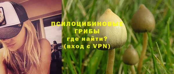 спиды Абдулино