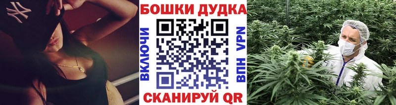 сколько стоит  Тында  Бошки Шишки индика 